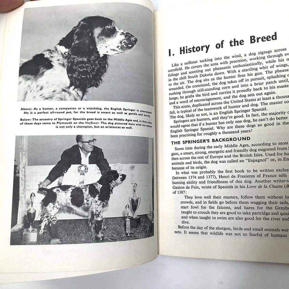 Vtg How to raise and train an English Springer Spaniel‎ Book Robert Gannon 1961